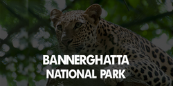 Bannerghatta National Park