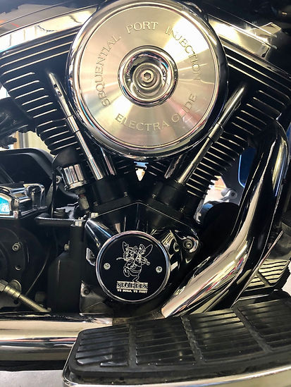 timing cover my sled.jpg