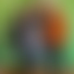 To The Strong Woman Starting Her First Job