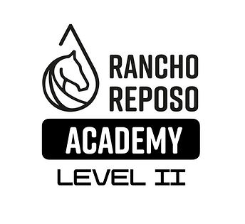 RR Academy GRADE 2.png