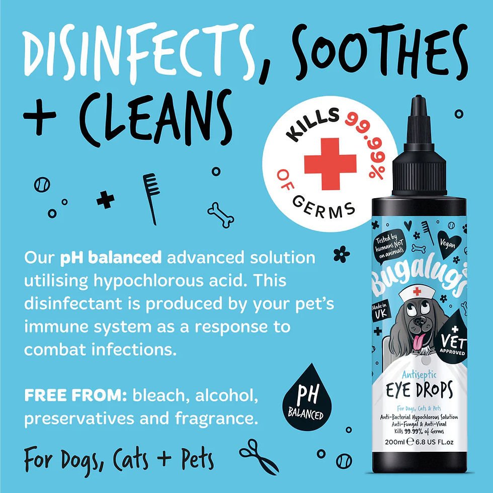 Thumbnail: Bugalugs Antiseptic Eye Drops for Dogs, Cats & Pets