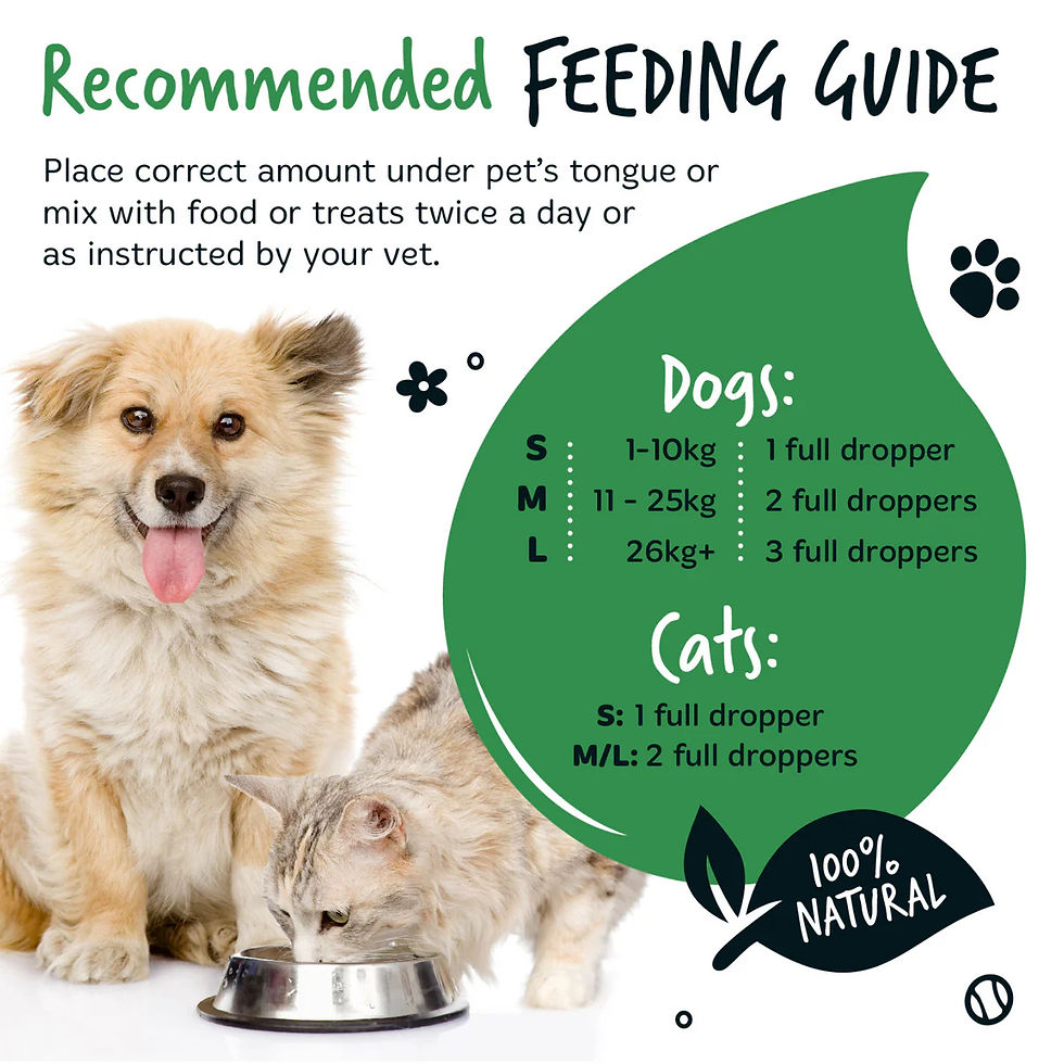 Thumbnail: Organic Hemp Oil 100% Natural Calming Supplement for Dogs & Cats