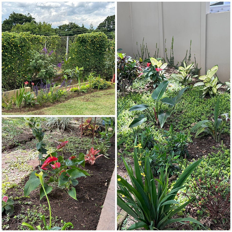 Different gardens in the yard