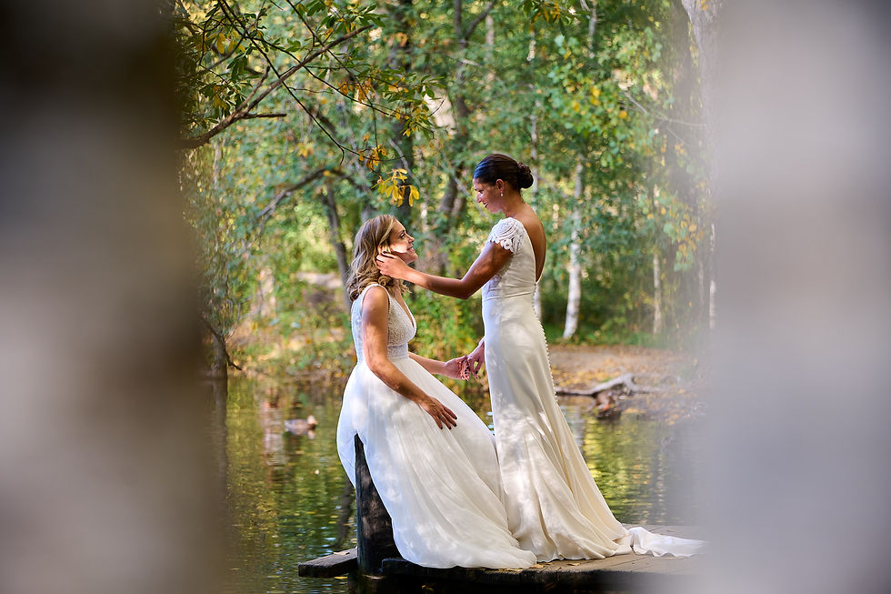Postboda en el Bosque Finlandes
