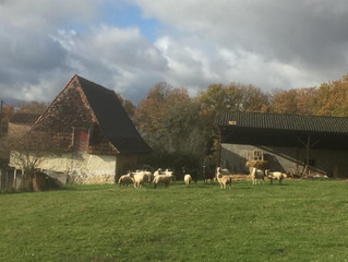 Wandeling in Cadouin 9,2 km ca 2,5 uur lopen
