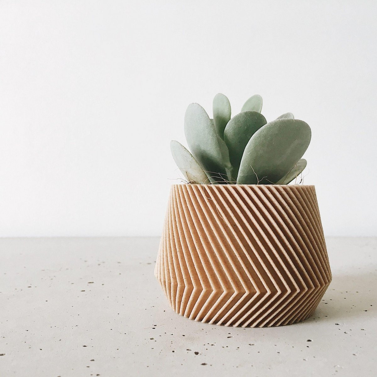 OSLO kamerplanter