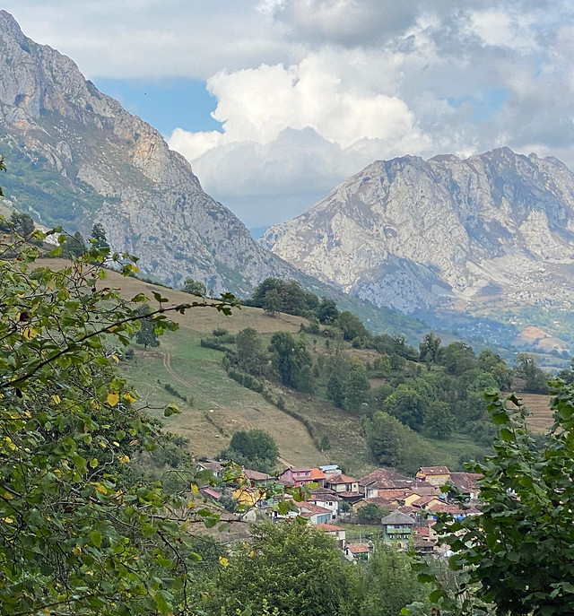 IMG_1461.jpeg