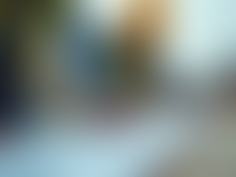 The Importance of Architectural Reports in Home Development