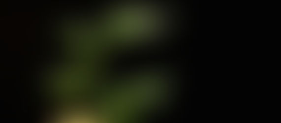 Green Tips de cara a una Nueva Era Cannábica