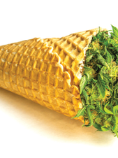 A “FOUR TWENTY” WITH CONSCIOUSNESS AND PURPOSE