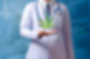 Khiron firma acuerdo con el seguro de salud pública más grande de Bogotá para cobertura de cannabis