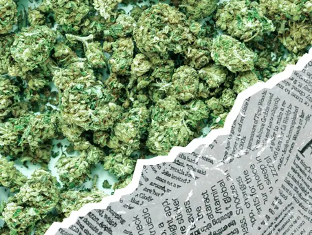 El error de narrativa sobre la regulación de la planta 