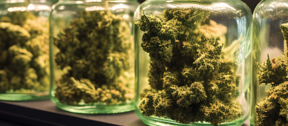 UNITY MIX
¡BACK TO THE GAMELL!