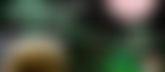 ¡La Universidad de Cornell ya tiene cursos de Cannabis!