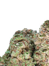 OG LEMON CRASHER