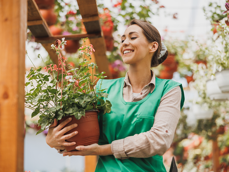 "Celebra las fiestas apoyando a las empresas de mujeres de tu comunidad” | By: LatinasCannapreneur
