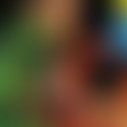 LA REFORMA DEL CANNABIS TOMA UN NUEVO GIRO