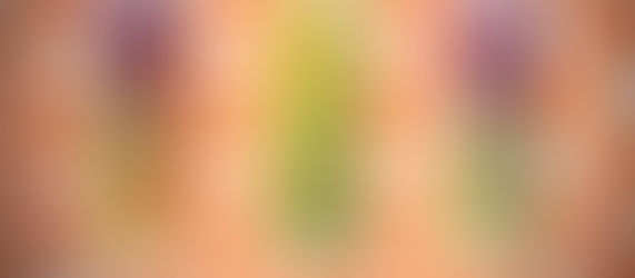 CARAMOR DESIGNER VAPES-
LAS PIEDRAS | PUERTO RICO