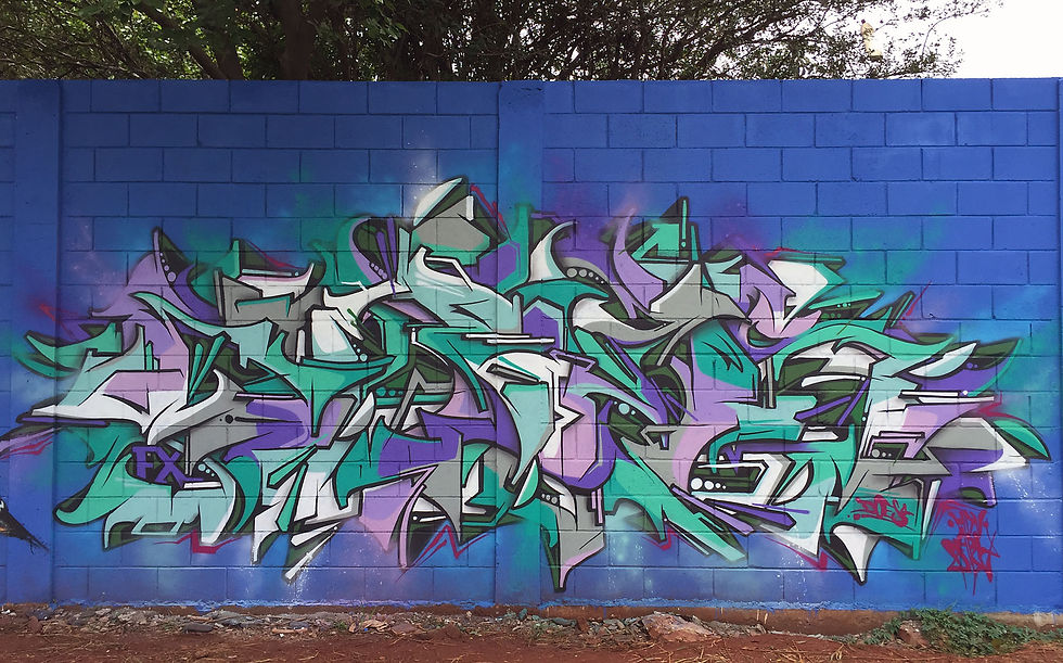 Paulinia - SP