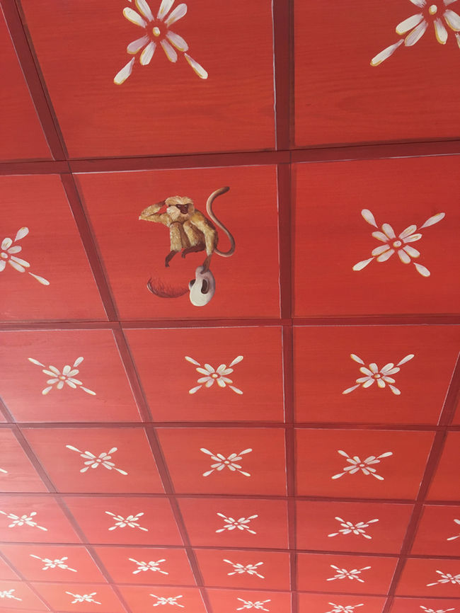 Aperçu du décor de plafond : les fleurs et les singes