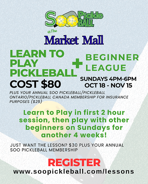 Learn to Play PICKLEBALL (3).png