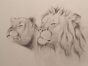 Löwen Zeichnung, Junges Kunsthaus Emsdetten