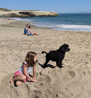 kids beach dogs water
