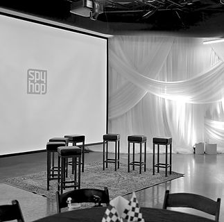 Beautiful Designed Sheer Drape to Soften the Stage Design for a Fundraiser