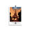 Miniature : POSTER PHYGITAL : PARIS (Illustr 1)