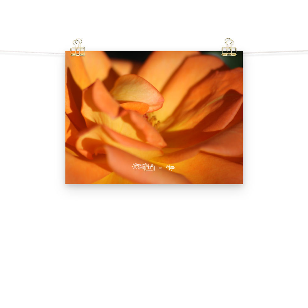 Miniature : POSTER mural : Coeur de rose 1