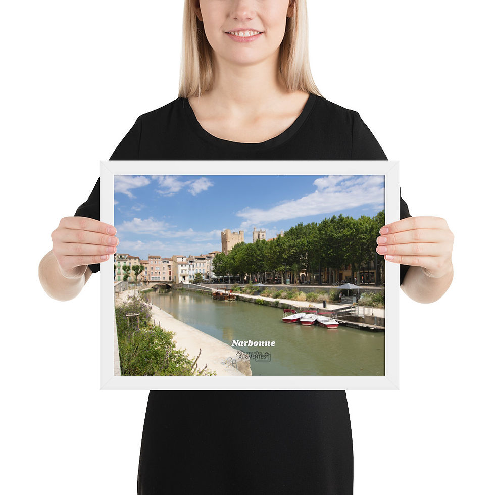Miniature : Poster Narbonne-09