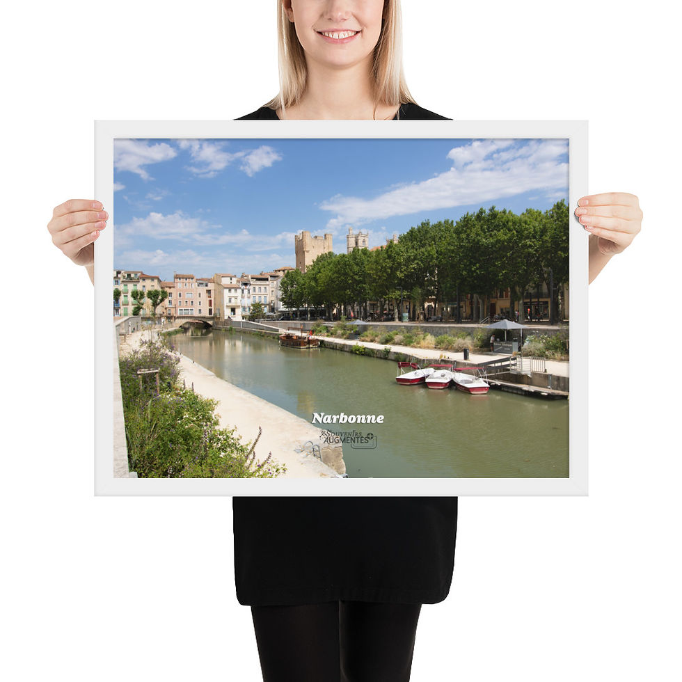 Miniature : Poster Narbonne-09