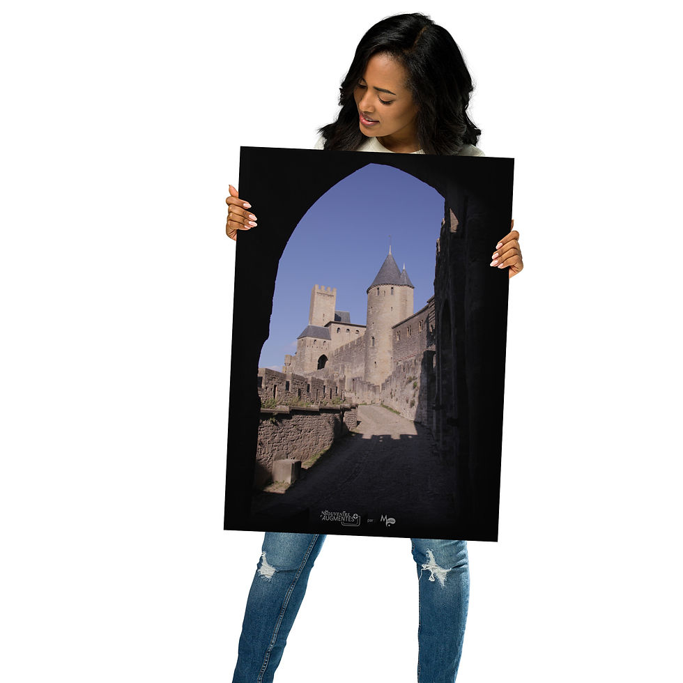 Miniature : POSTER mural : Carcassonne (4)