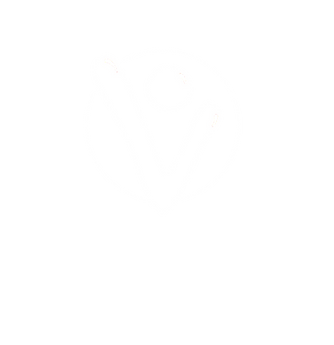 logo viva blanc sans titre.png