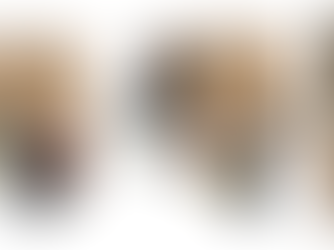 Compre kits prontos de balde 3.2L Transparente com Tampa Preta