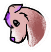 flutter23