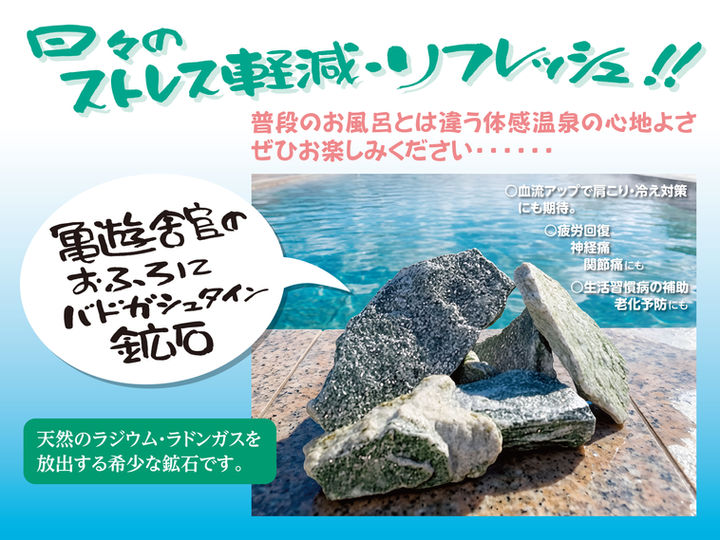 バドガシュタイン看板_1200×900.jpg