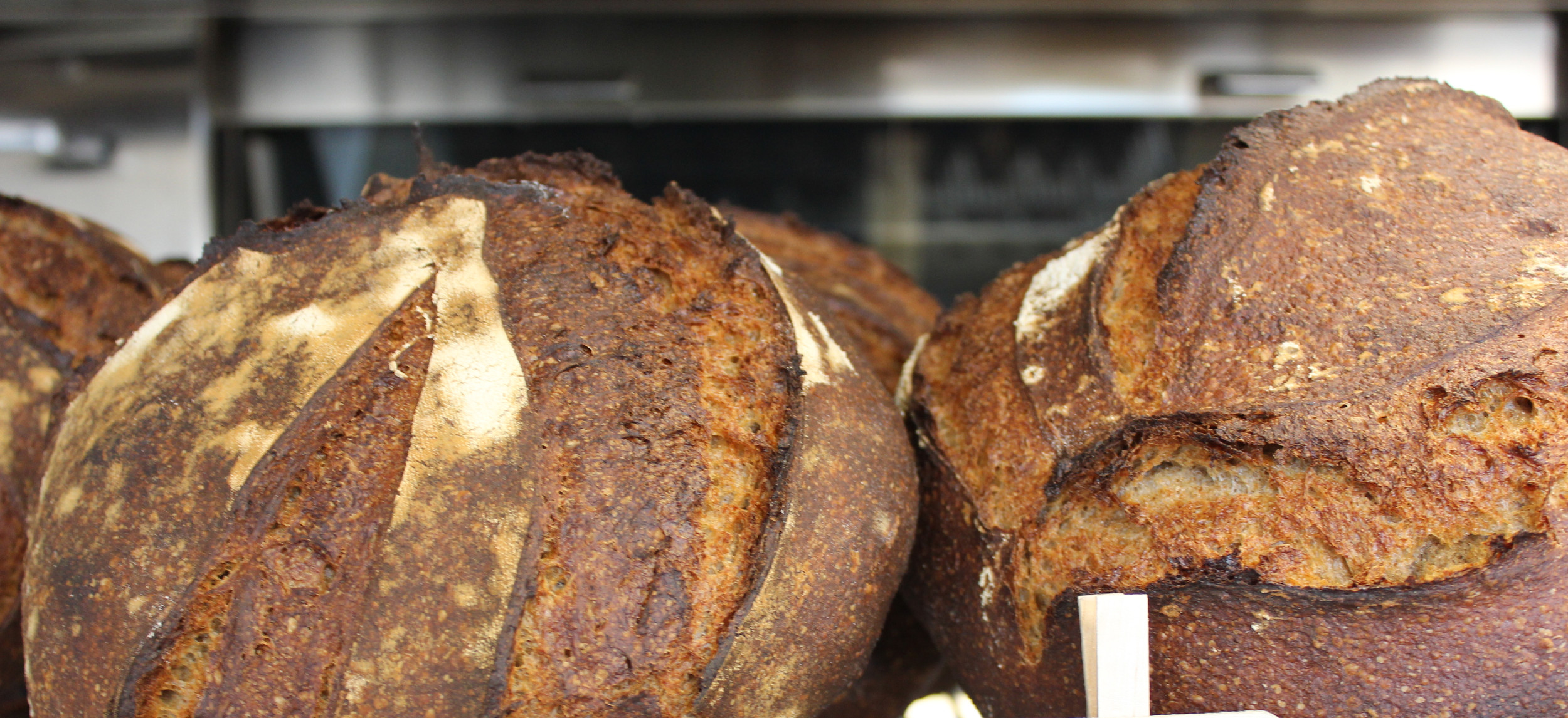 Bread by Johnny 1695 West Indiantown Road, Jupiter, FL, USA