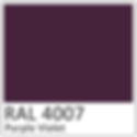 RAL 4007