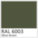 RAL 6003