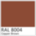 RAL 8004