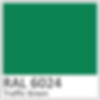 RAL 6024