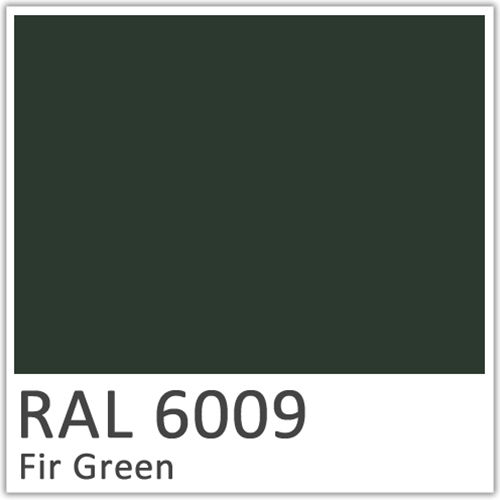 RAL 6009