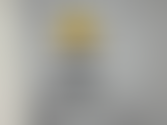 DeLuca Family Foundation Supports Transitions Life Center