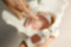 Pelvic Floor Muscles