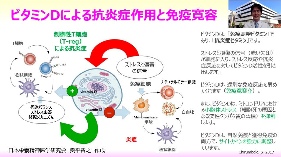 ビタミンDによる抗炎症作用と免疫寛容~新型コロナウイルス(COVID19)によるサイトカインストームのリスク軽減の一助に~ ビタミンDによる抗炎症作用と免疫寛容~新型コロナウイルス(COVID19)によるサイトカインストームのリスク軽減の一助に~