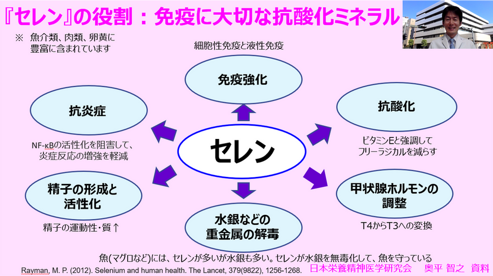 免疫に大切な抗酸化ミネラル:「セレン」の6つの役割