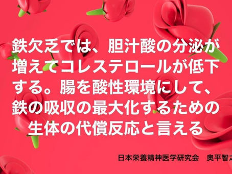 鉄欠乏女子(テケジョ)とコレステロール、胆汁酸