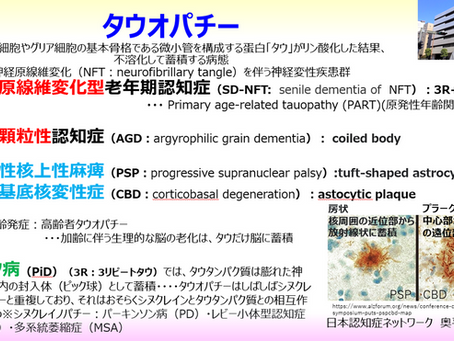 「タウがたまる認知症」タウオパチーとは?:非アルツハイマー型認知症・高齢者タウオパチーとは?
