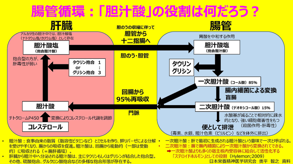 胆汁酸塩はどのように作られるのでしょうか?